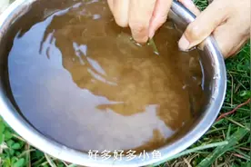 农村这种最古老的捕鱼方法，一次能捕到几十条嫩仔鱼视频封面