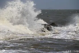 警惕！中心风速45m/s！台风“天鸽”已于今天中午登陆珠海视频封面