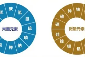 认识认识这位哥（铬）图片