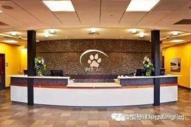 宠物医院装修风格图图片
