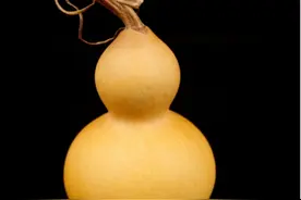 做到文玩葫芦全身发亮并不难，知道这些盘玩小技巧就行了！图片