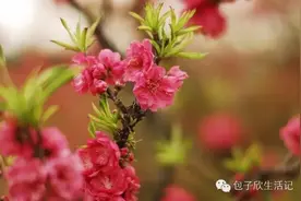 南沙除了赏花，竟然还可以出海·观鸟·吃美食·血拼一条龙！图片