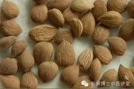 苦杏仁可治疗妊娠期感冒图片