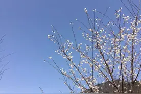 实拍常德临澧一夜爆红的“花花世界”！图片