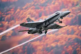 瑞士迈林根空军基地战机美图 F-18“大黄蜂”大秀机动性图片