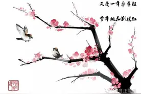 寻赣州最美春天， 2016龙南武当首届桃花节等你来！图片