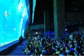 正佳广场 海洋世界承重性很安全图片