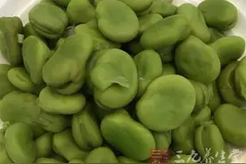 蚕豆的营养价值 吃蚕豆能增强免疫力图片