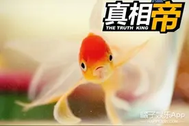 谁说鱼的记忆只有7秒？人家记性好着呢！图片