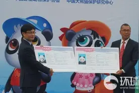 中国大熊猫22年后重返韩国 爱宝乐园成熊猫新家图片