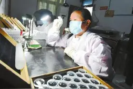 欧洲观众看球赛7 月份手拿“南充造”望远镜图片