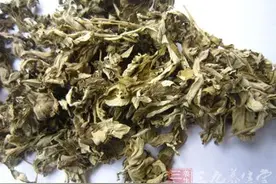 艾叶的作用 艾叶有哪些功效及作用图片