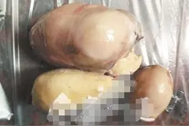 女子杀鸡发现鸡宝 专家:或为多个卵黄聚集形成的图片