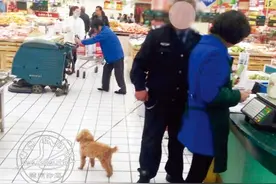 狗狗进超市合适吗？市民:无法接受这种行为图片