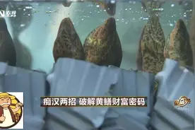 农村大叔发明一种工具，使黄鳝产量提高两倍、每条黄鳝半斤重？视频封面