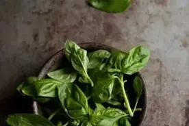 生活 | 意大利菜的“半个灵魂”原来是它图片