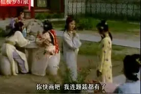 红楼梦87版，惜春要画大观园，黛玉把名字都想好了，携蝗大嚼图视频封面