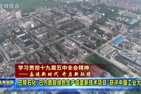巴陵石化“己内酰胺绿色生产成套新技术项目”获评中国工业大奖图片