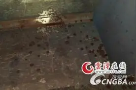 《辐射4》圣约村屠村事件图文心得分享图片