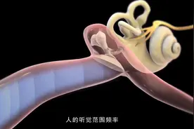 墨子专访｜解放军总医院于宁博士畅谈听力保护的重要性视频封面