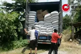 江门傲农科学养猪集锦 养猪小窍门让你猪快速增重视频封面