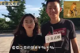 你知道菜鸟是怎么来的吗？视频封面