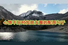 心情不好时发朋友圈的配图句子视频封面