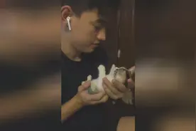 一小哥执着亲小奶猫，小奶猫一直在挣脱，可是就是挣脱不开视频封面