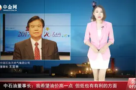 中石油董事长：我希望油价高一点 但低也有有利的方面视频封面