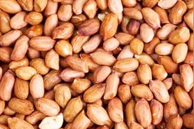 十大滋阴补阳食物视频封面