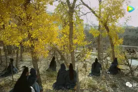 热播剧《醉玲珑》中胡杨林地原来是在这儿取的景，而这里也是甘肃唯一的哈萨克族地区图片