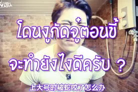泰国男子上厕所遇到蛇，机智十招破解尴尬视频封面
