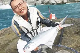 矶钓状元鱼，一种美味但鲜为人知的海鲜鱼类视频封面