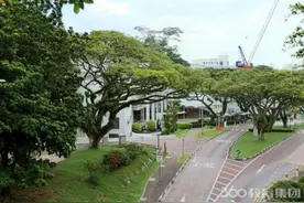 新加坡国立大学奖学金申请图片