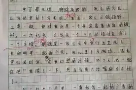 鹿晗小粉丝作文笑翻网友 和偶像相恋结婚生子图片
