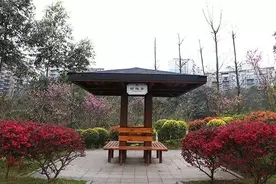 在宜宾看花不用到处跑了，这个公园已经百花齐放啦~图片