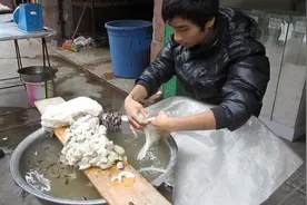 蚕茧怎么加工成蚕丝视频封面