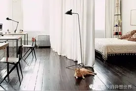 大家说||回南天岂能束手无策，清爽妙招在此图片