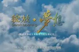 临泉县义务教育均衡发展工作宣传片视频封面