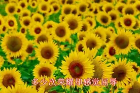 存在，你我存在的意义是什么