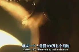 人体竟然有120万亿个细胞，比银河系的星体还多1200倍视频封面