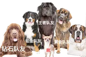 三个金标吊打五个最强王者，这应该是五个王者被侮辱最惨的一次！视频封面