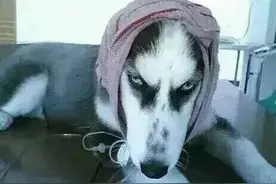 你的朋友圈有人看吗？图片