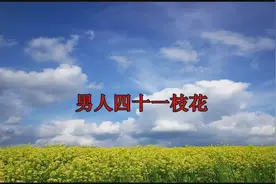 男人四十一枝花视频封面