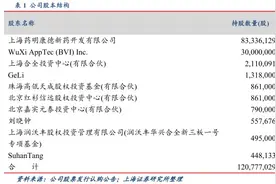 国内医药CMO领头羊合全药业 于新三板上的投资机会何在？图片