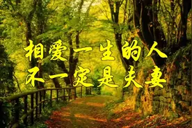 相爱一生的人，不一定是夫妻视频封面
