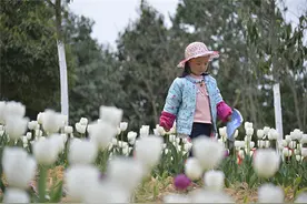 龙里龙架山进入最佳赏花期:"我在花间等您来!"图片