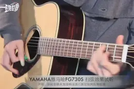 莱柏吉他评测