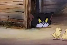 猫和老鼠：第011回（高清国语版）小鸡仔的诞生图片