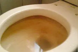 再也不用掏粪了，马桶堵了试下这个新方法，1分钟快速疏通视频封面
